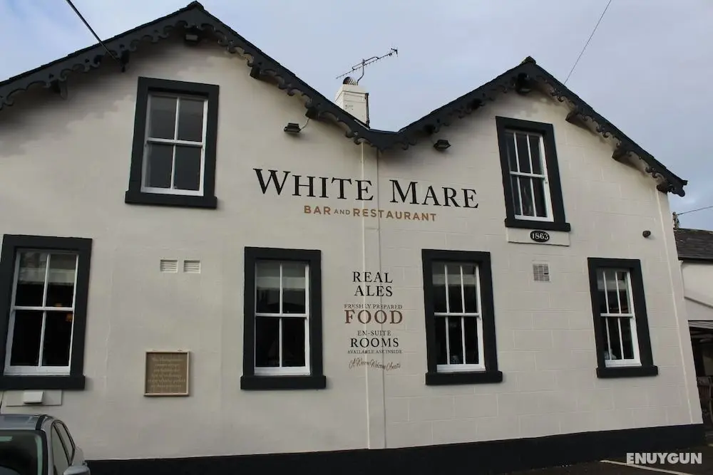 The White Mare - Öne Çıkan Resim