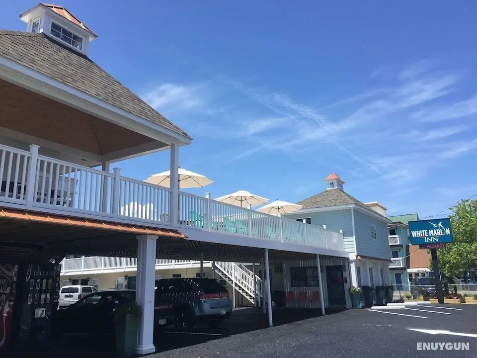 White Marlin Inn - Öne Çıkan Resim
