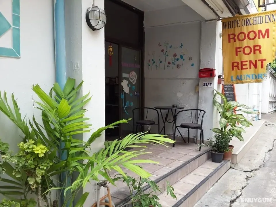 White Orchid Inn - Dış Mekan