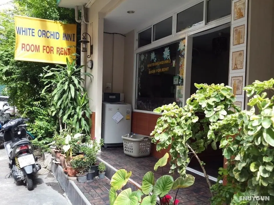 White Orchid Inn II - Öne Çıkan Resim