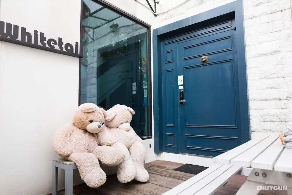 Whitetail Guesthouse - Hostel - Dış Mekan
