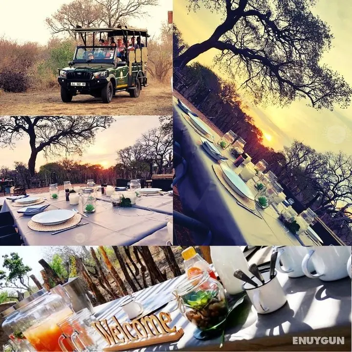 Wielewaal Bush Lodge - Aktiviteler