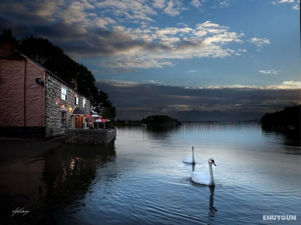 The Wilcove Inn - Öne Çıkan Resim