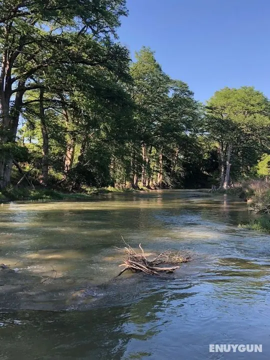 Wild Arrow Ranch - Öne Çıkan Resim