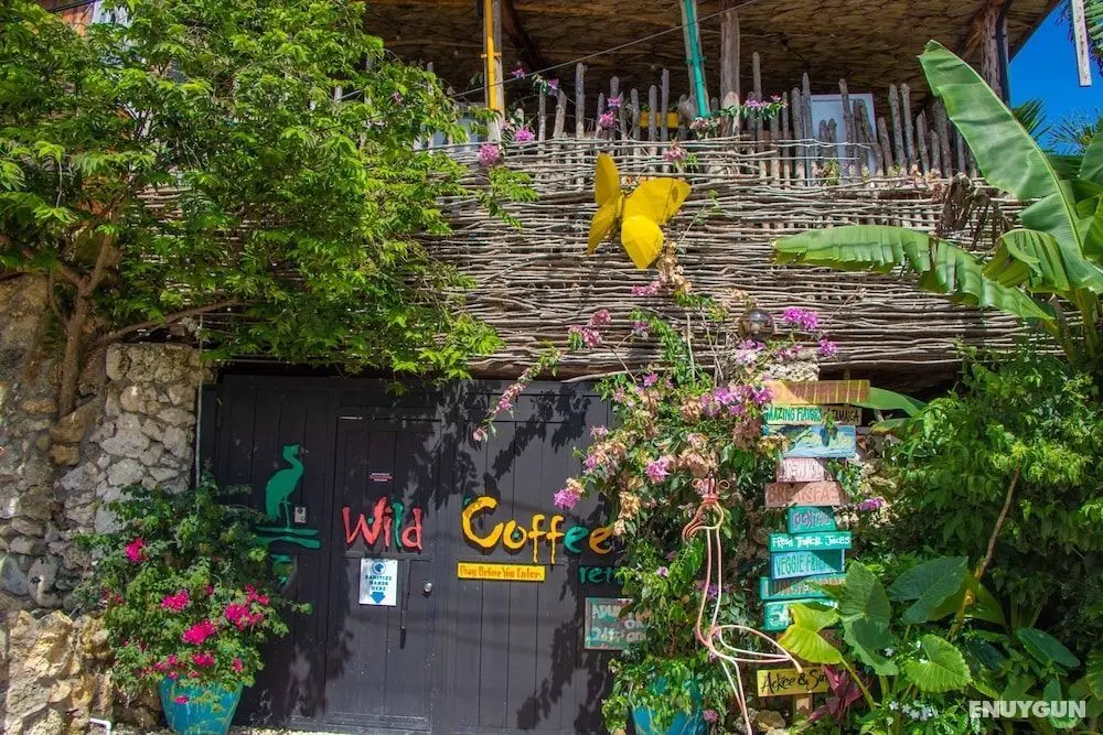 Wild Coffee Retreat - Adults Only - Öne Çıkan Resim