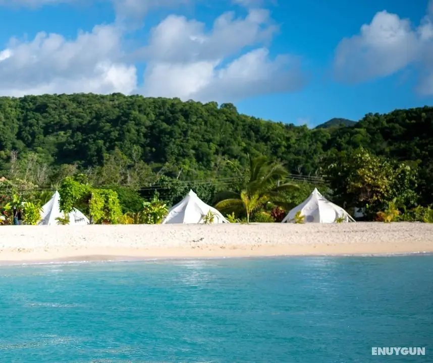 Wild Lotus Camp- Glamping - Dış Mekan