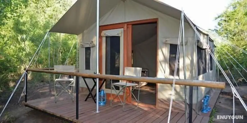 Wild Olive Tree Camp - Öne Çıkan Resim