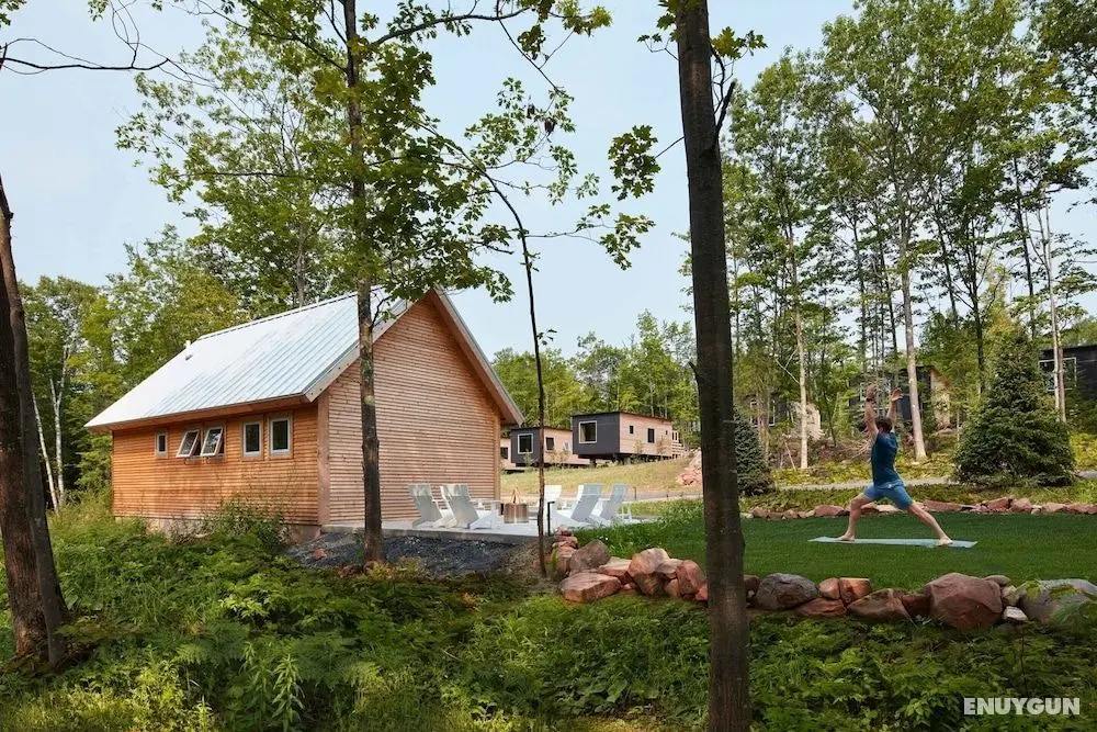 Wild Rice Retreat - Öne Çıkan Resim
