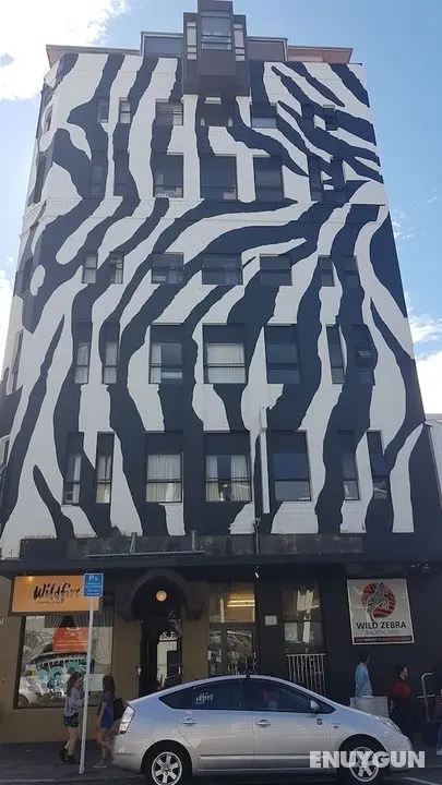 Wild Zebra Backpackers - Öne Çıkan Resim
