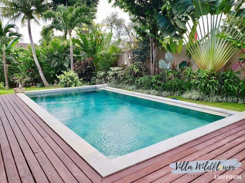 Villa Wildflower Canggu - Havuz