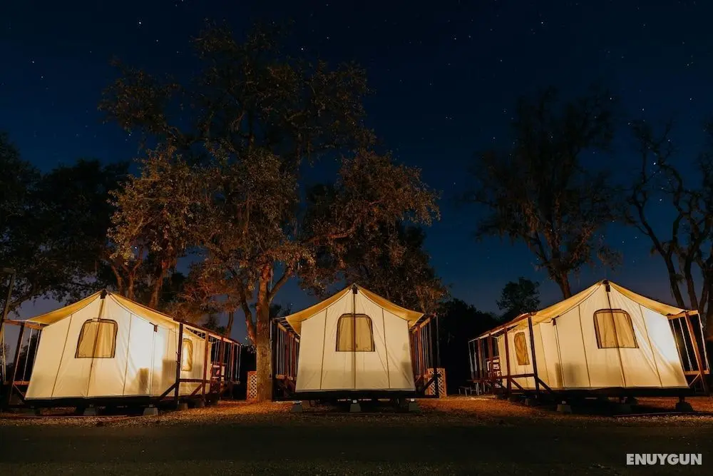 Wildhaven Sonoma Glamping - Öne Çıkan Resim