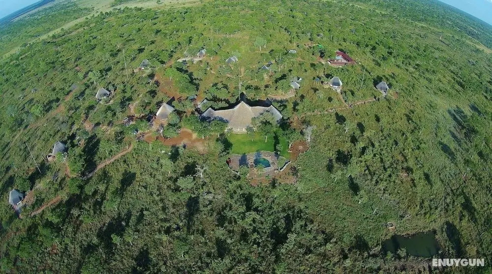 Wildtrack Safaris Eco Lodge - Öne Çıkan Resim