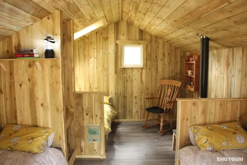 Wildwoodz Cabins - Öne Çıkan Resim