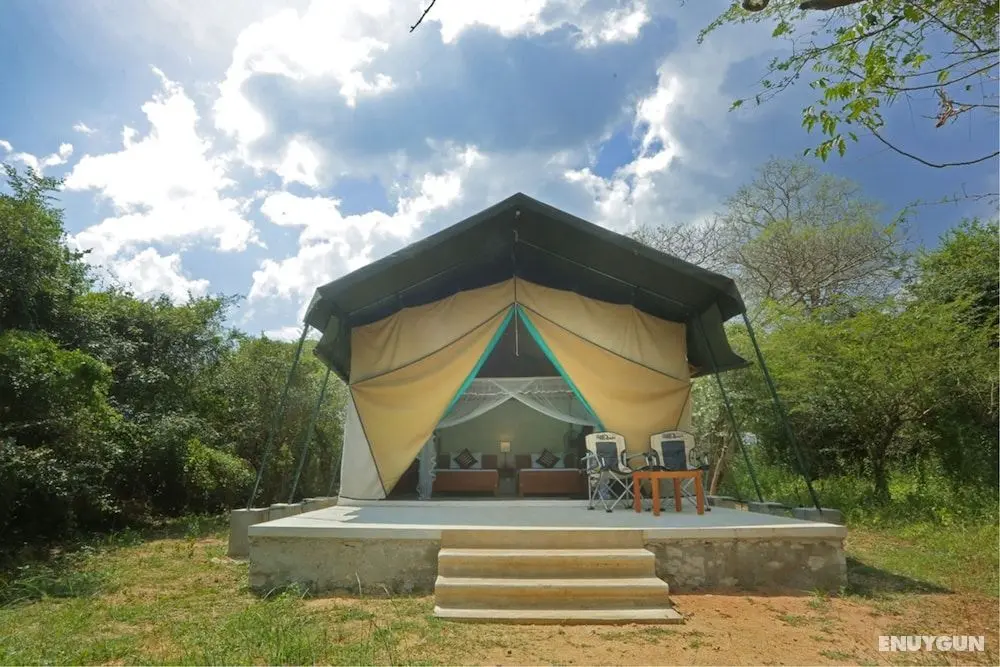 Wilpattu Safari Camp - Campground - Öne Çıkan Resim