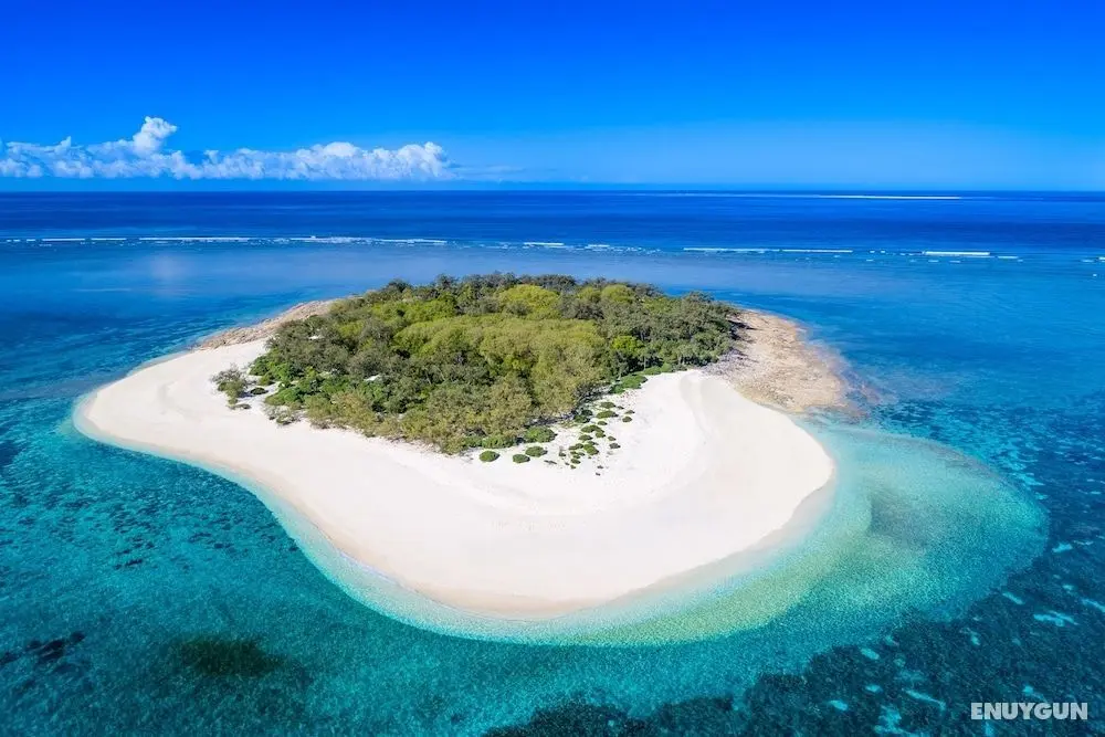 Wilson Island - Öne Çıkan Resim
