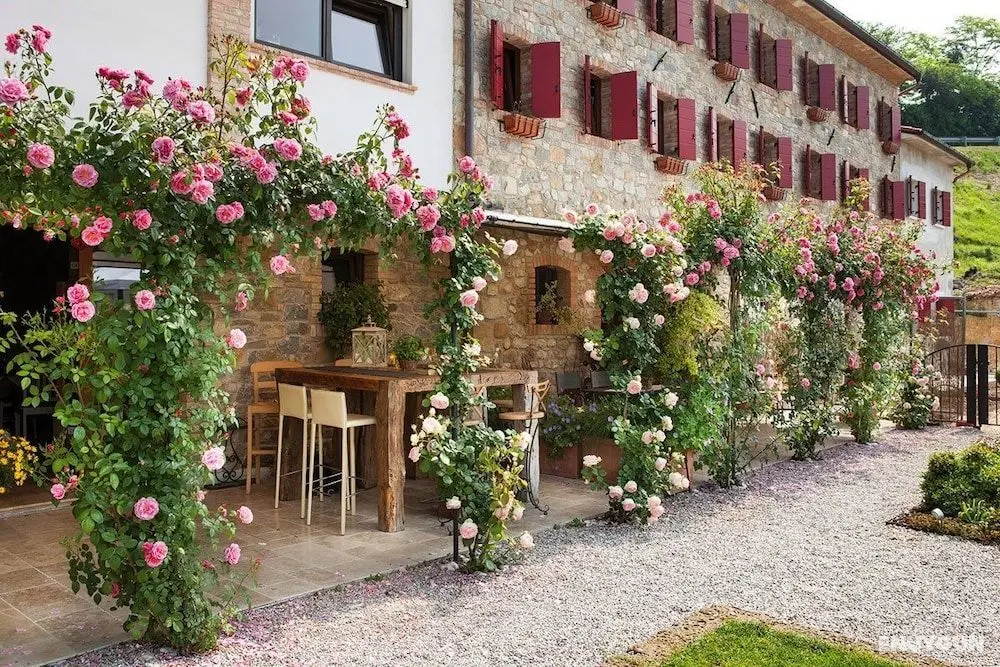 Wine Relais Cà Piadera - Öne Çıkan Resim