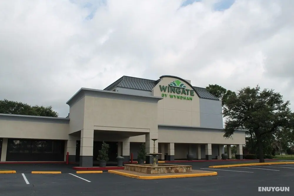 Wingate Houston near NRG Park/Medical Center - Dış Mekan