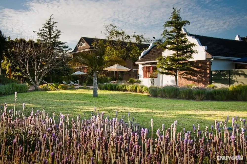 At Winkfield House - Öne Çıkan Resim