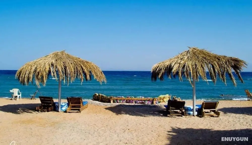 Wishwashi Camp & Resort - Öne Çıkan Resim