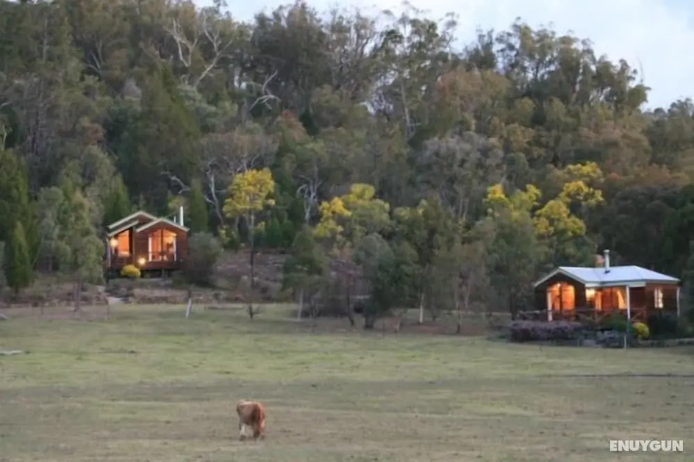 Wisteria Cottage and Cabins - Dış Mekan
