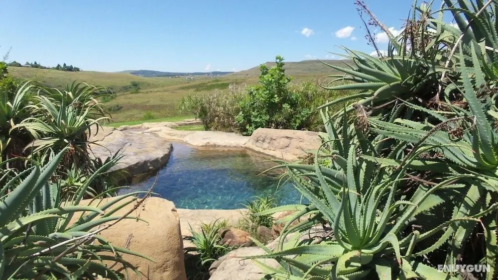 Wits End Mountain Resort - Havuz