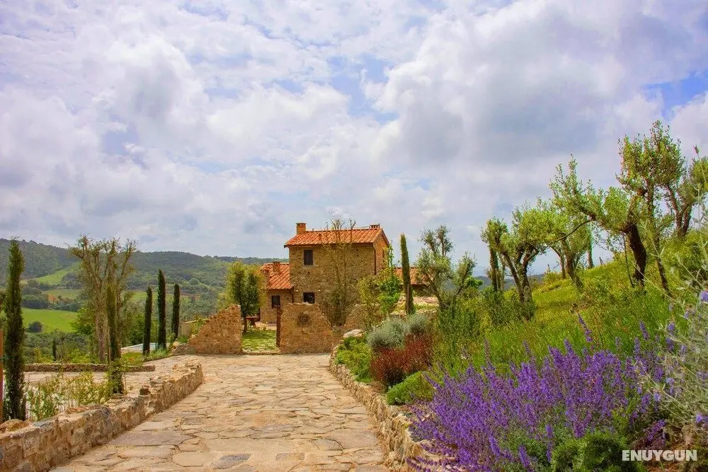 Wonderful Private Villa With Pool in Riparbella - Dış Mekan