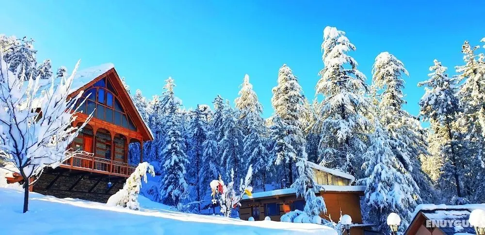 Wood Vista Cottages - Oda