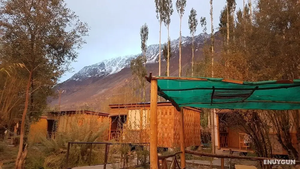The Wooden Nest - Dış Mekan
