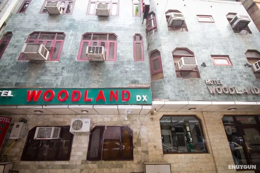Hotel Woodland Dx - Oda