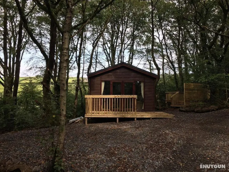 Woodland View Hot Tub - Öne Çıkan Resim