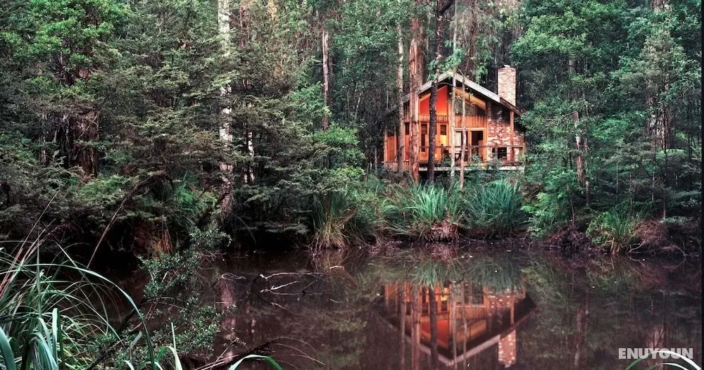 Woodlands Rainforest Retreat - Öne Çıkan Resim