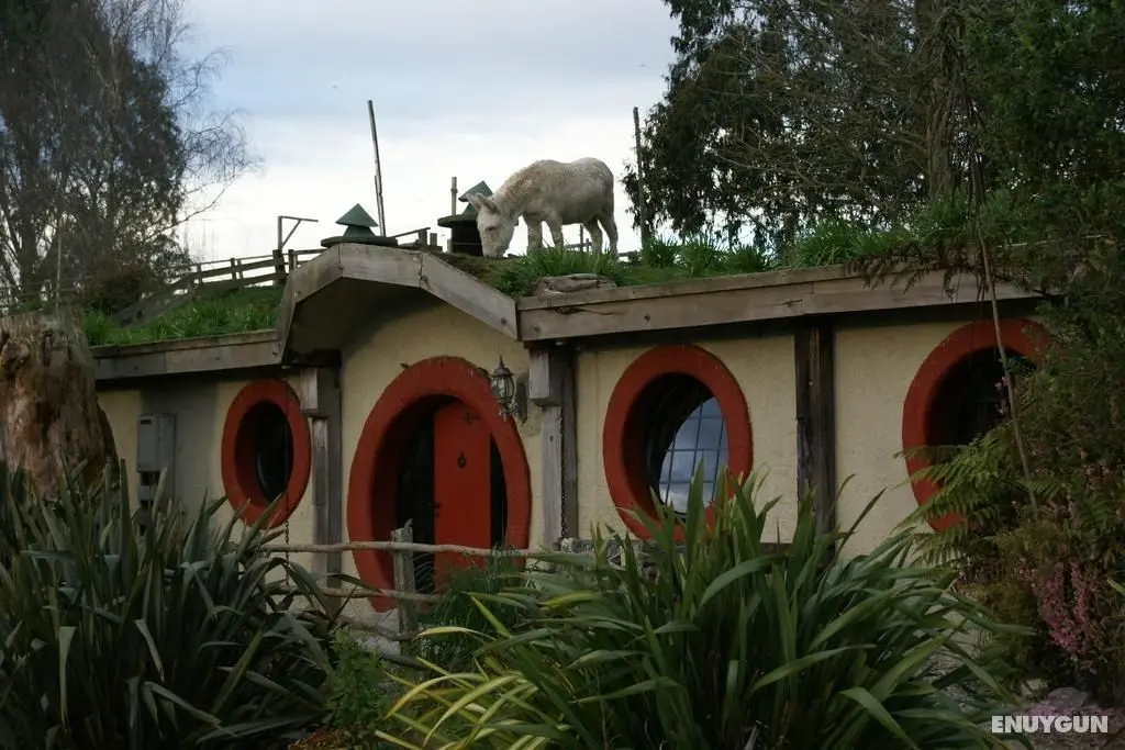 Woodlyn Park - Genel