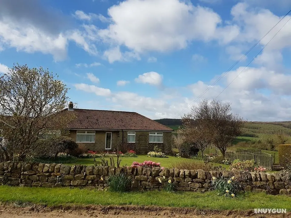 Woodpeckers Cottage - Öne Çıkan Resim