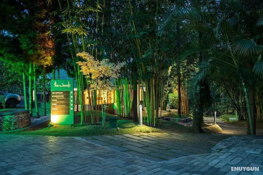 The Woods Resorts Wayanad - Öne Çıkan Resim