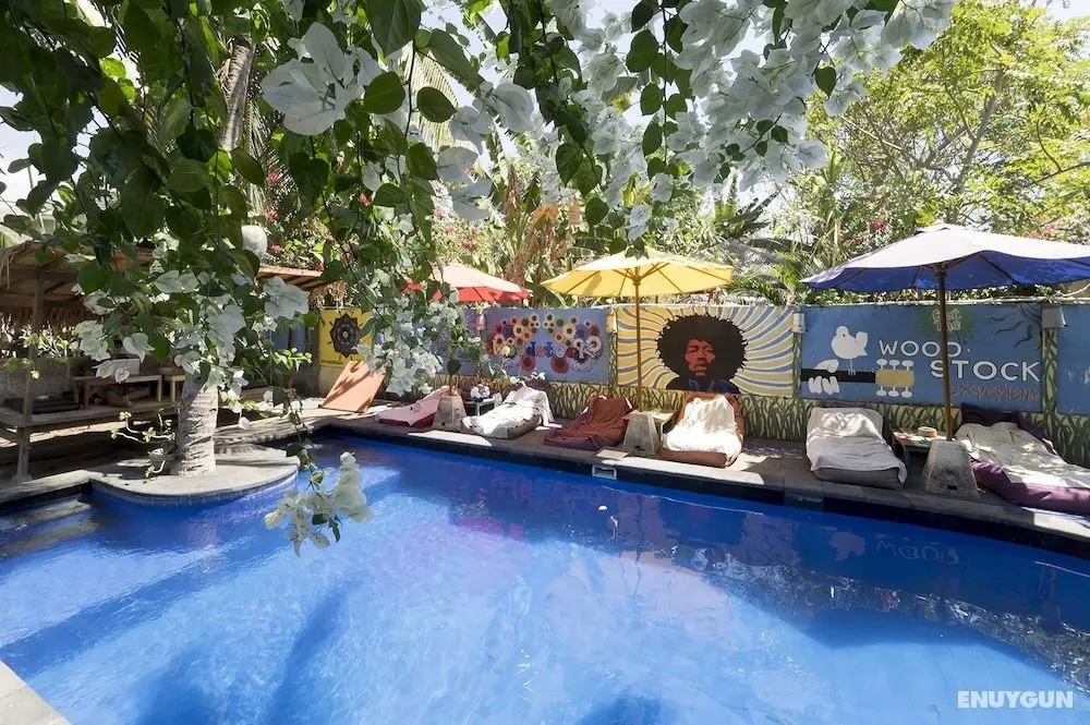 Woodstock Garden Bungalows - Öne Çıkan Resim