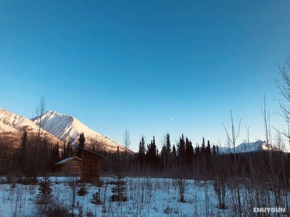 Wrangell Mountain Lodge - Oda Manzaraları