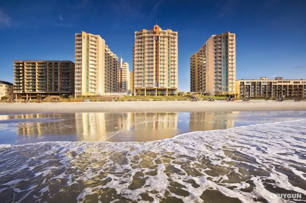 Wyndham Ocean Blvd. - Genel