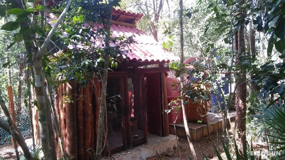 Hotel y Temazcal en Solferino - Dış Mekan