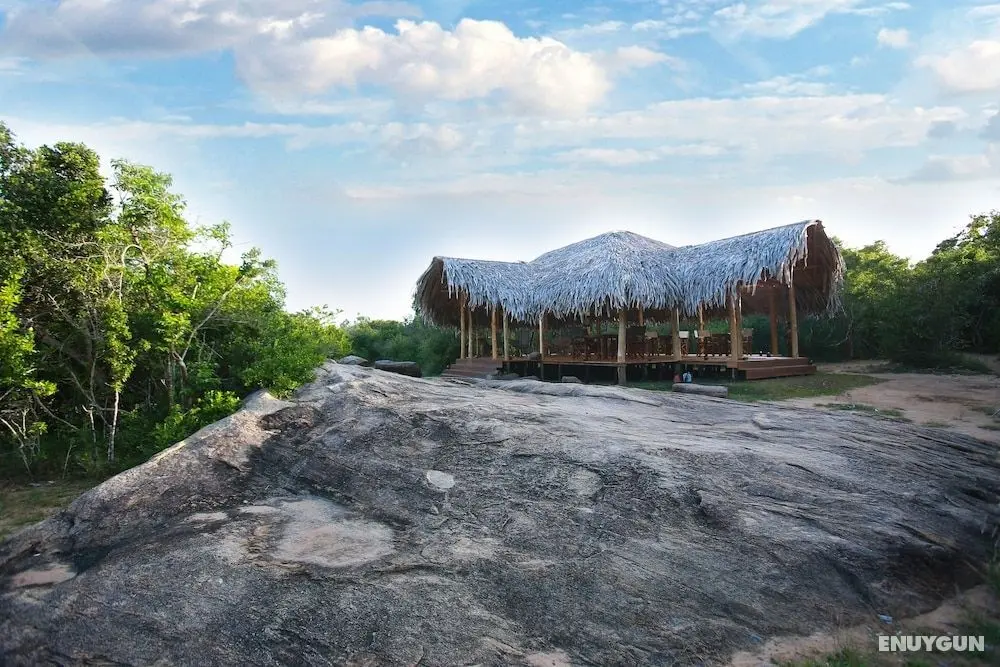 Yala safari and Relax camping - Dış Mekan