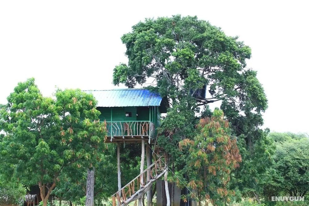 Yala Wilderness Safari Camp - Oda
