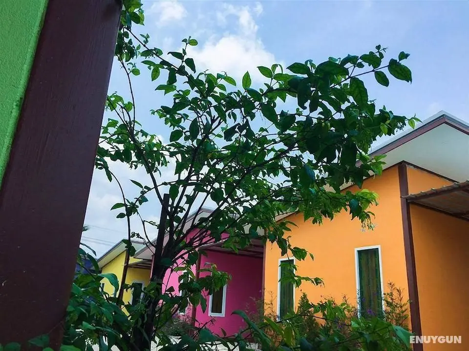 Yamsurl House Resort - Öne Çıkan Resim