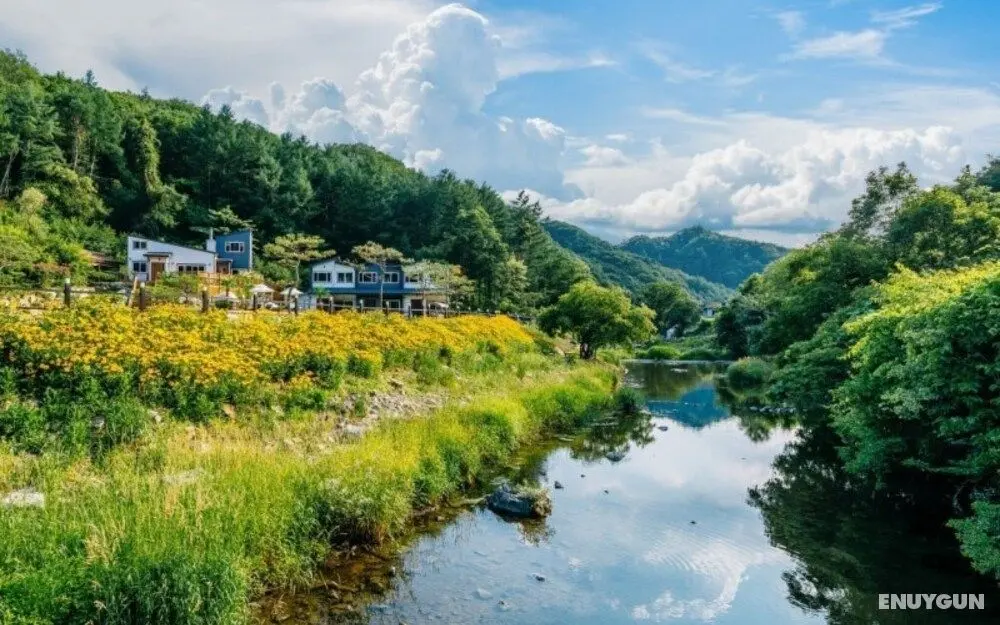 Yangpyeong Rosedale Pension - Misafir Tesisleri ve Hizmetleri