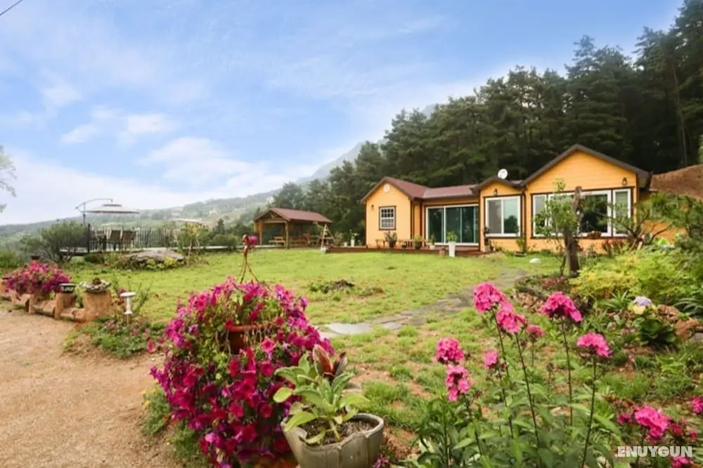 Yangpyeong Shija House Pension - Misafir Tesisleri ve Hizmetleri