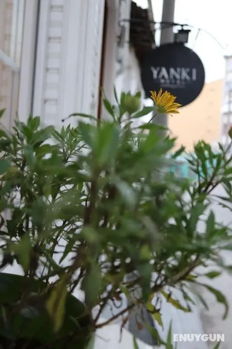Yanki Hotel - Dış Mekan
