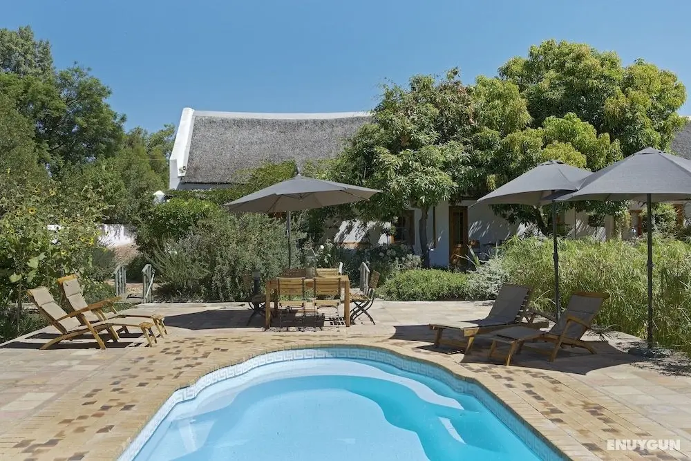 Yellow Aloe Guesthouse - Öne Çıkan Resim