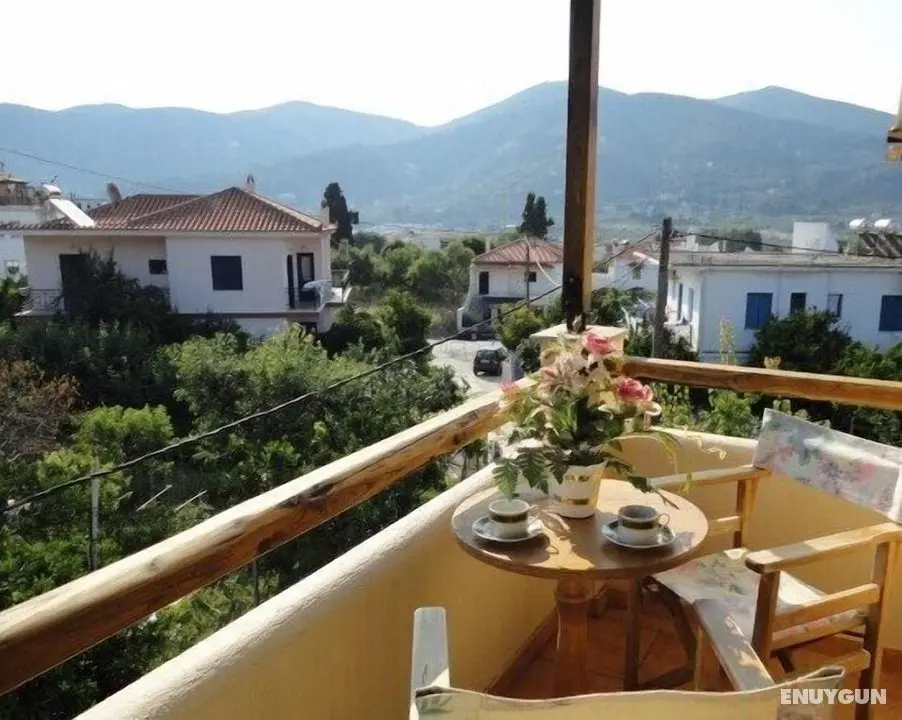 Yellow Stella Studios - Öne Çıkan Resim