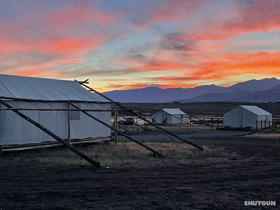 Yellowstone Dreamin Camp - Öne Çıkan Resim