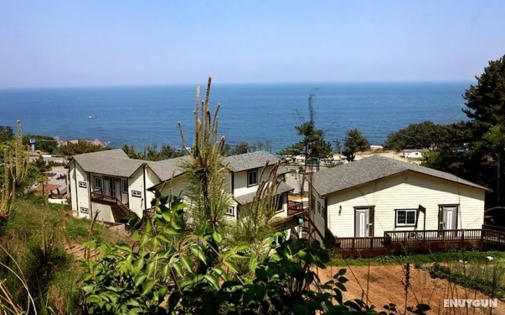 Yeongdeok Hill Pine Pension - Misafir Tesisleri ve Hizmetleri