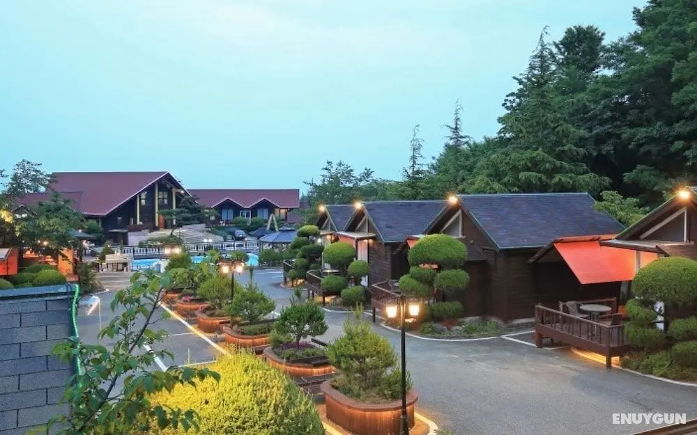 Yeongdeok Samsa Marin Village Pension - Misafir Tesisleri ve Hizmetleri