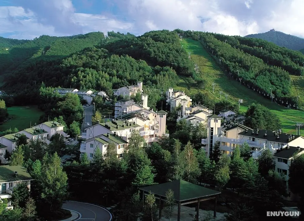 Yongpyong Resort Villa Condominium - Öne Çıkan Resim